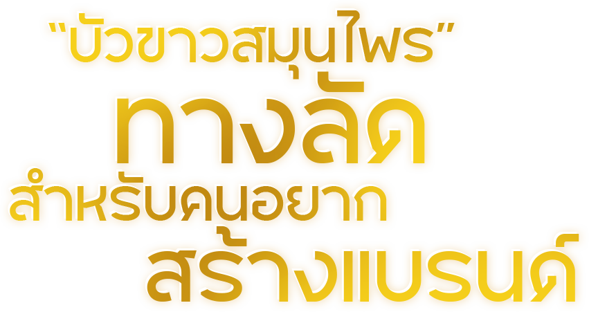 Contact Text