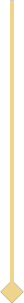 Vertical