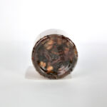 ตะไคร้ 5