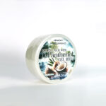 มะพร้าว2