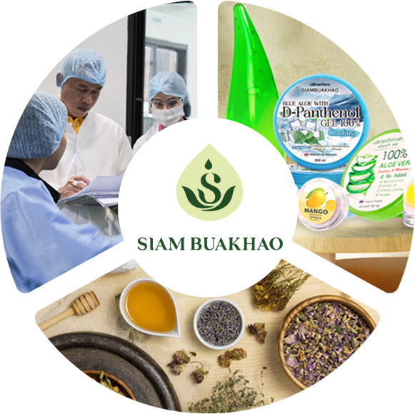 ดีไซน์ที่ยังไม่ได้ตั้งชื่อ (1)