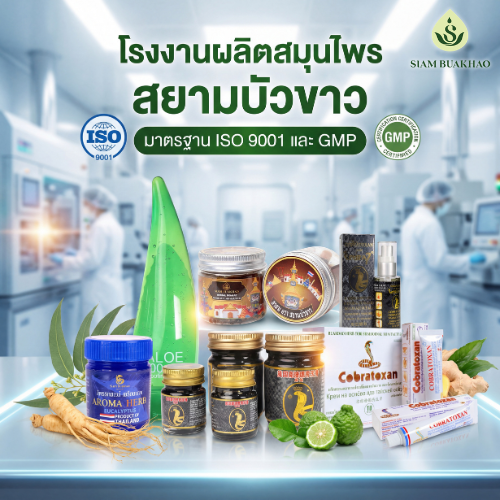 Buakhao Herb (2)